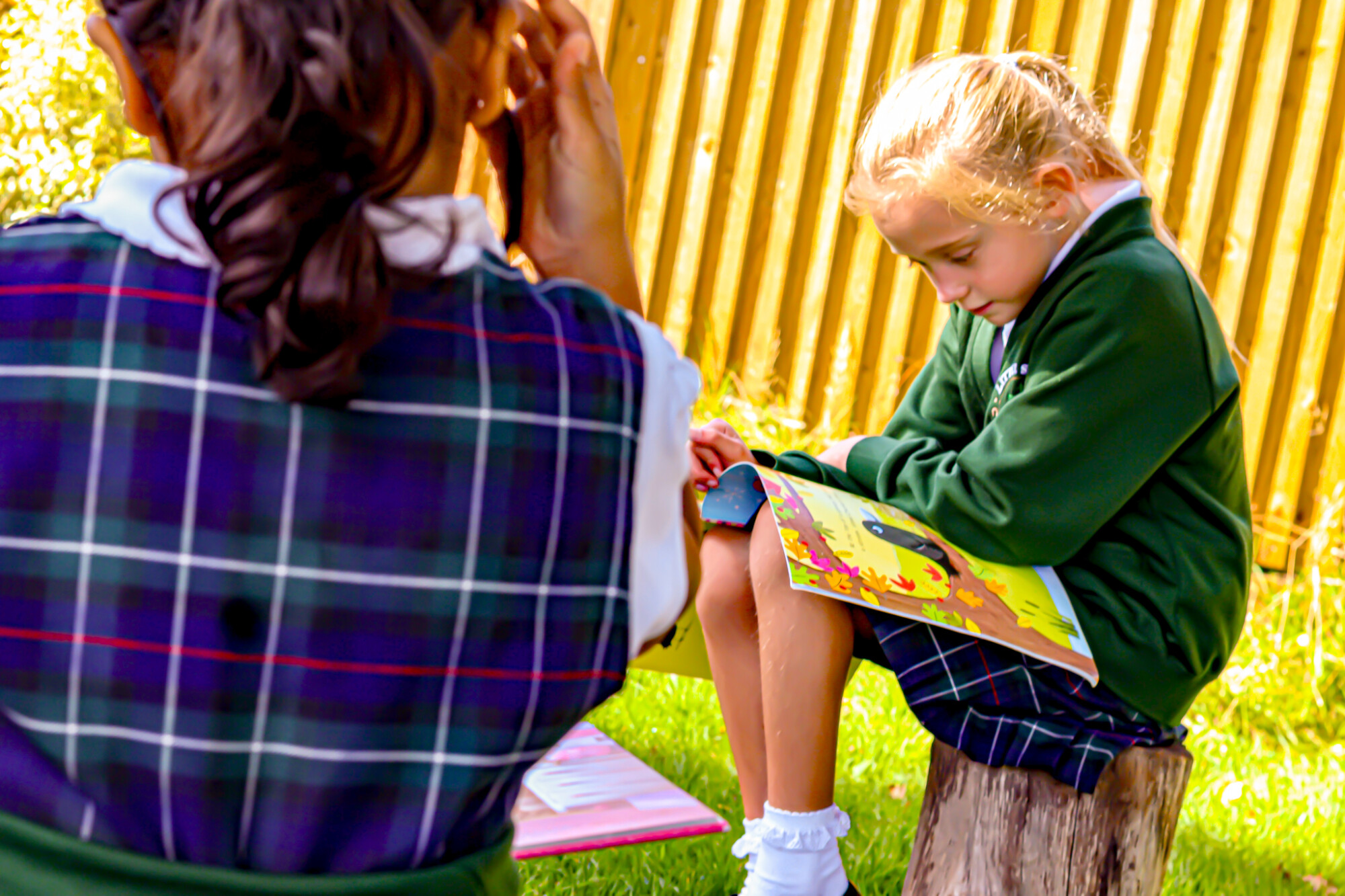 Banner Image